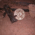 DSCF0377