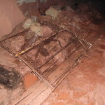 DSCF0378