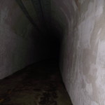 DSCF0419